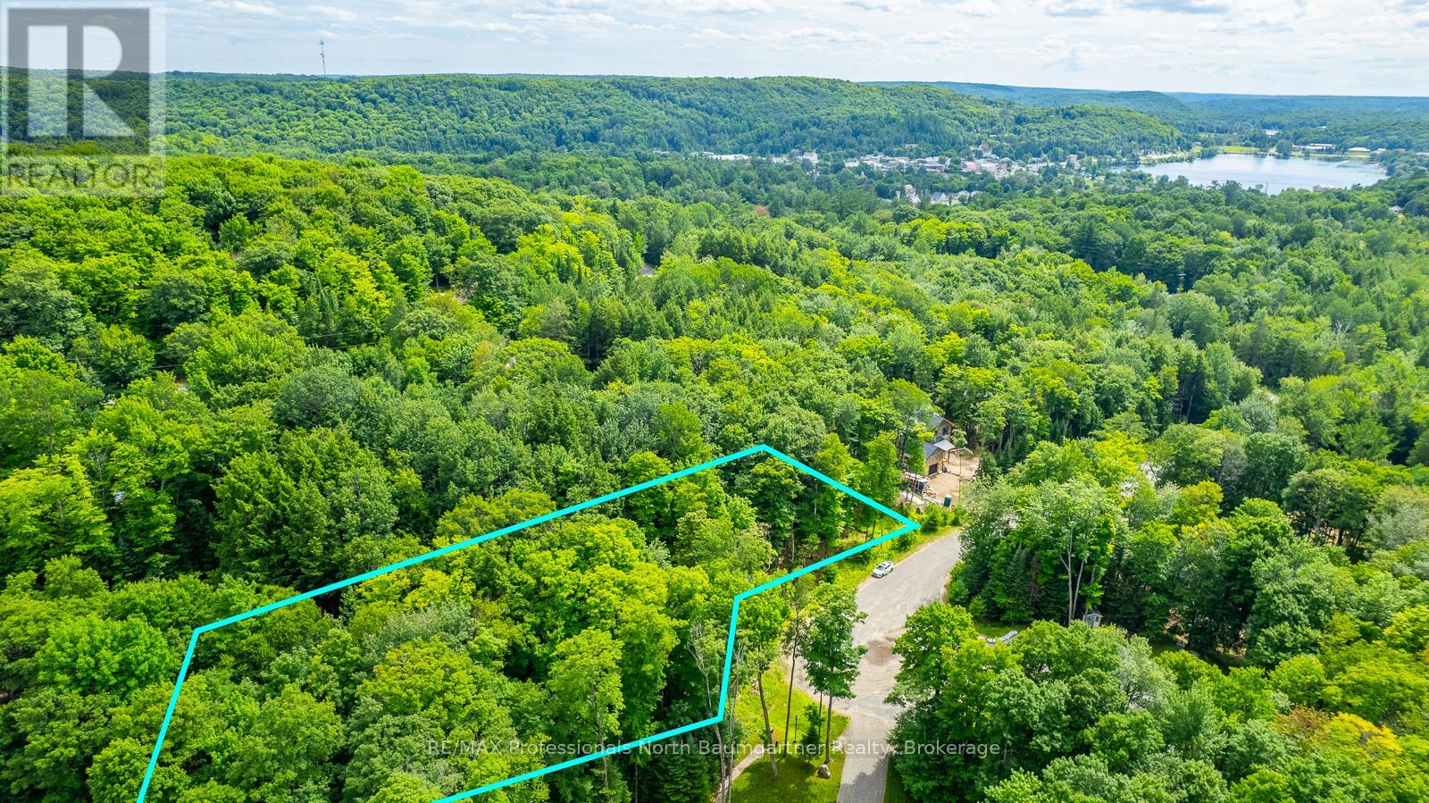 0 Lakeview Street, Dysart Et Al (Dysart), Ontario  K0M 1S0 - Photo 7 - X12034950