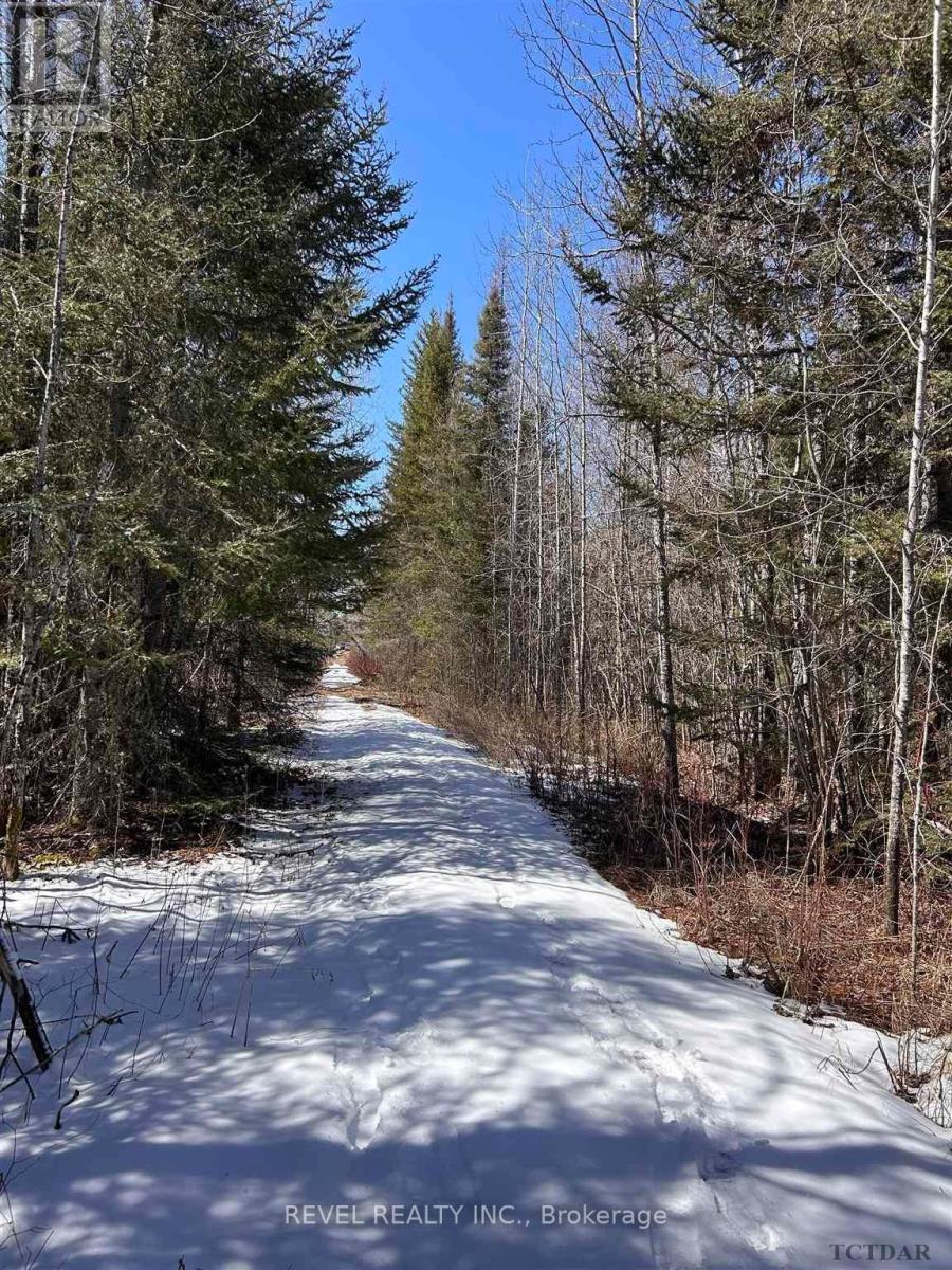 S 1/2 Lt 4 Con 2 Lamarche Twp, Cochrane, Ontario  P0L 1C0 - Photo 5 - T9280995