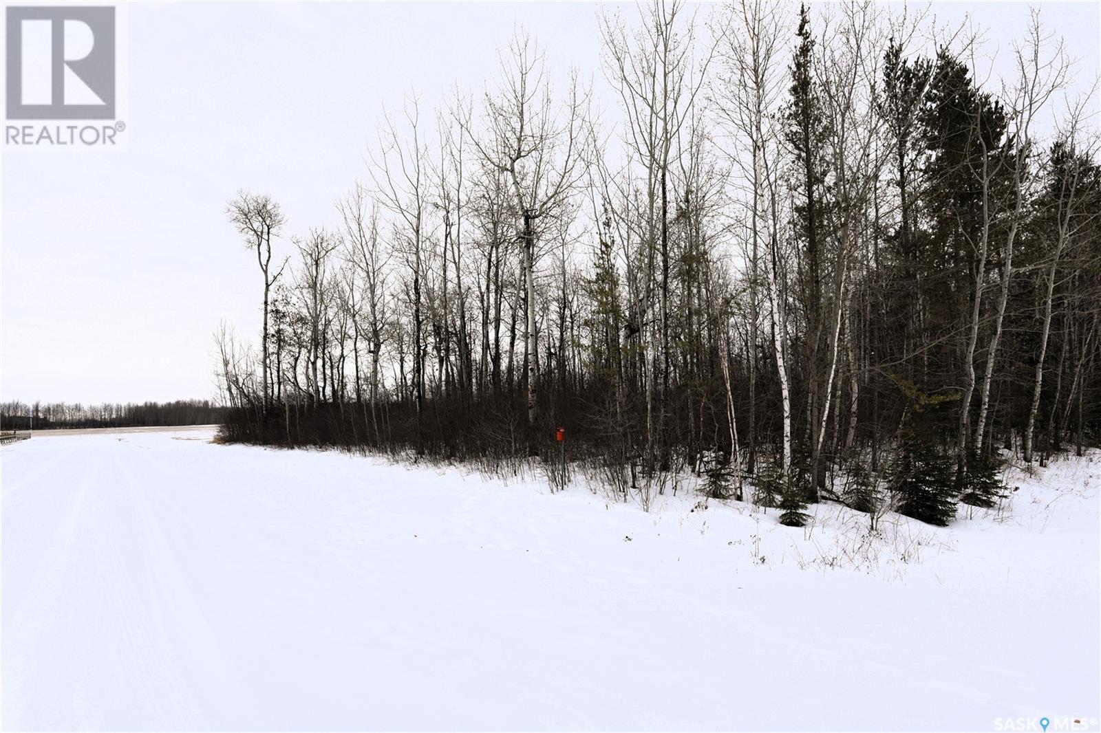 Homestead Lane - Lot 6, Moose Range Rm No. 486, Saskatchewan  S0E 1E0 - Photo 10 - SK999441
