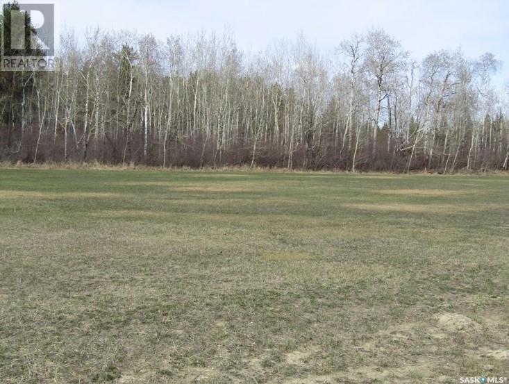 Homestead Lane - Lot 6, Moose Range Rm No. 486, Saskatchewan  S0E 1E0 - Photo 12 - SK999441
