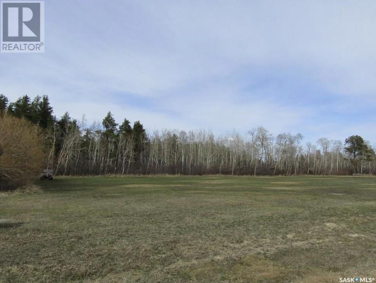 Homestead Lane - Lot 6, Moose Range Rm No. 486, Saskatchewan  S0E 1E0 - Photo 13 - SK999441