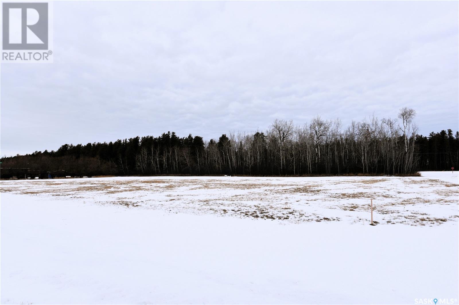 Homestead Lane - Lot 6, Moose Range Rm No. 486, Saskatchewan  S0E 1E0 - Photo 8 - SK999441