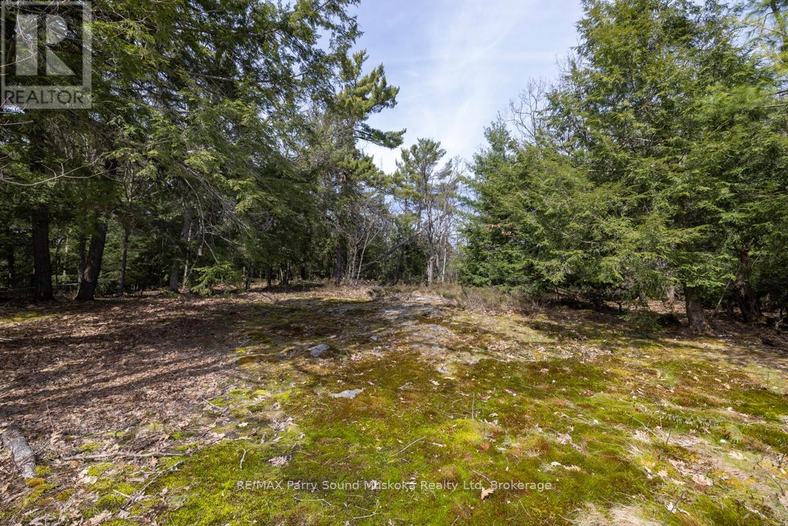 191 Clear Lake Road, Seguin, Ontario  P2A 2W8 - Photo 41 - X12035329