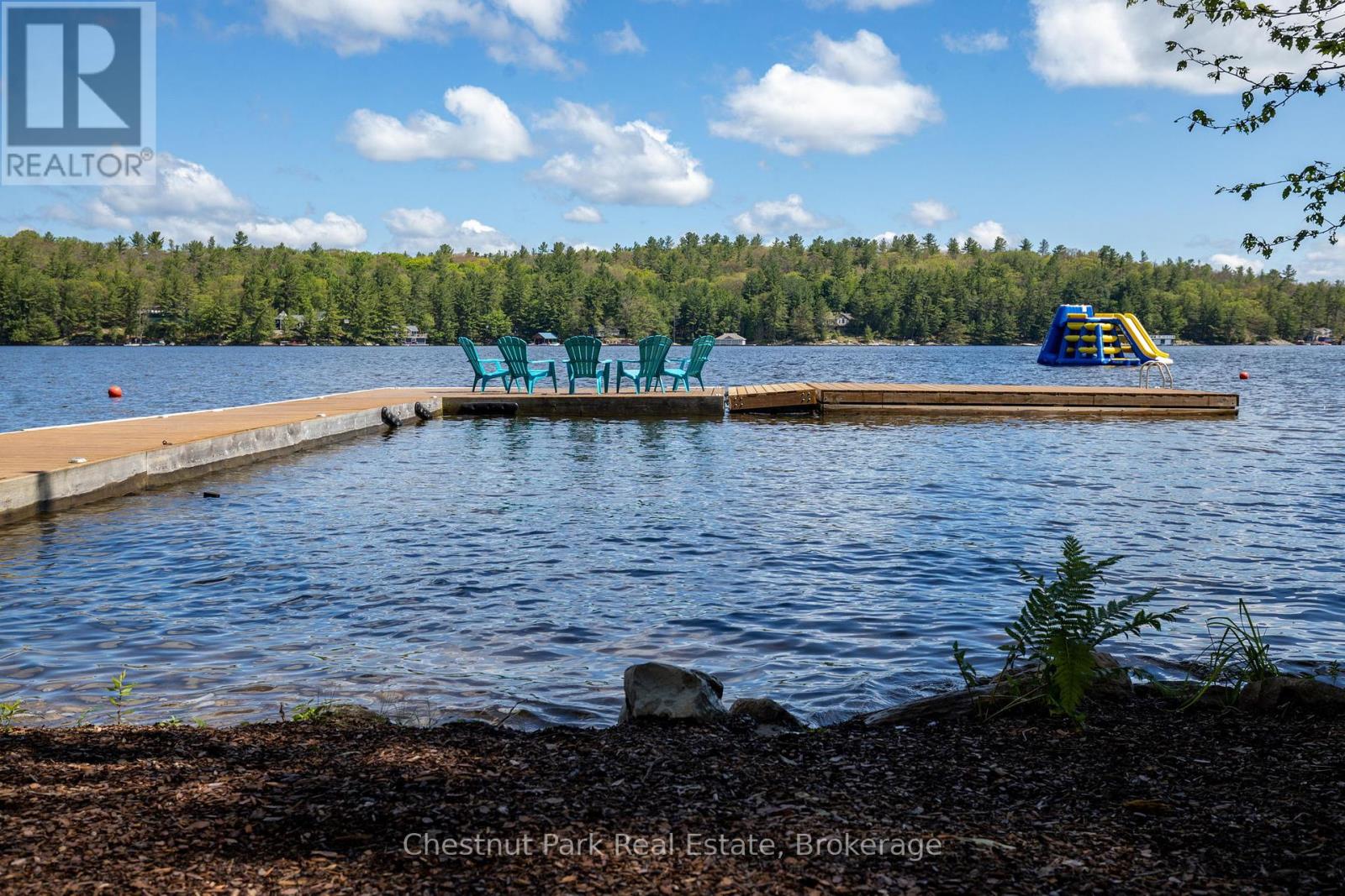 76 Birch Island, Bracebridge, Ontario  P1L 1W8 - Photo 20 - X12035457