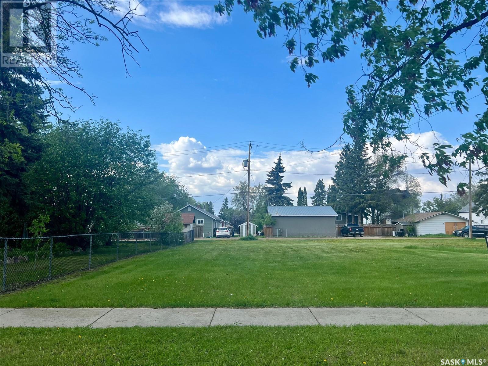 Lot 17 Mccallum Avenue, Birch Hills, Saskatchewan  S0J 0G0 - Photo 2 - SK999500