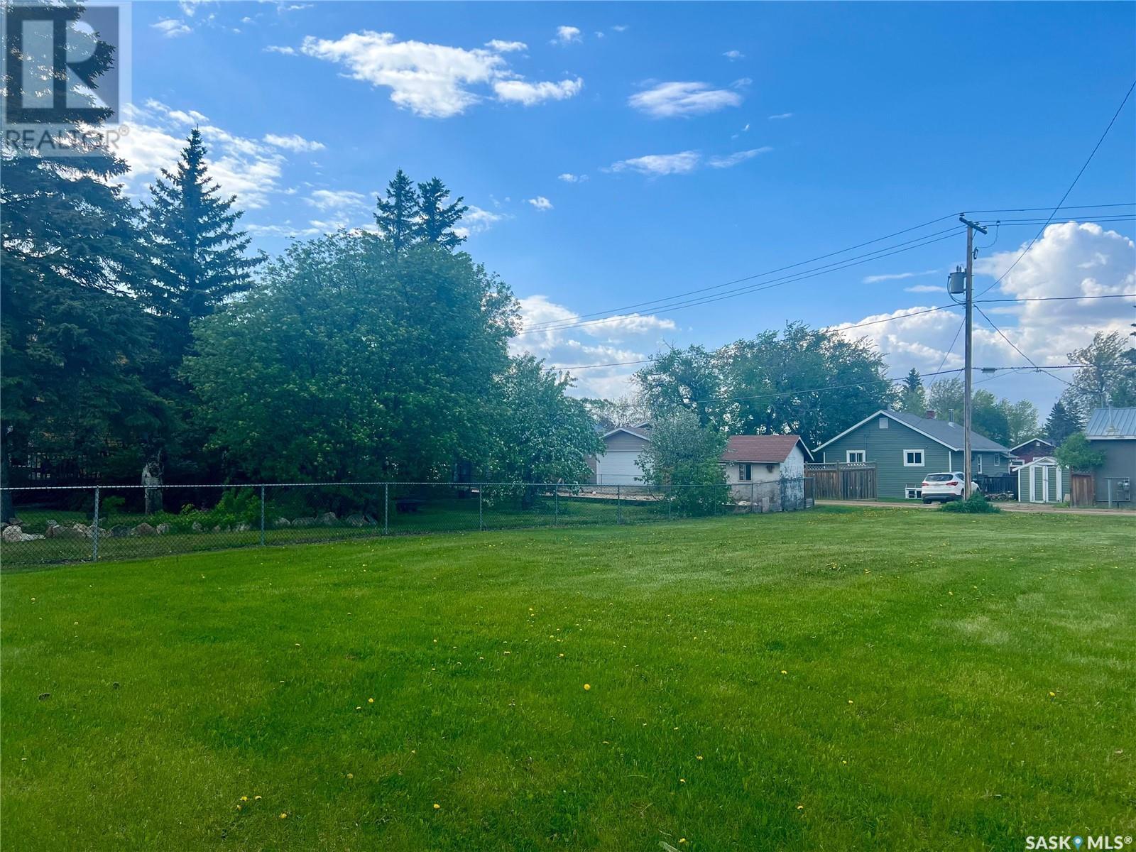 Lot 17 Mccallum Avenue, Birch Hills, Saskatchewan  S0J 0G0 - Photo 4 - SK999500