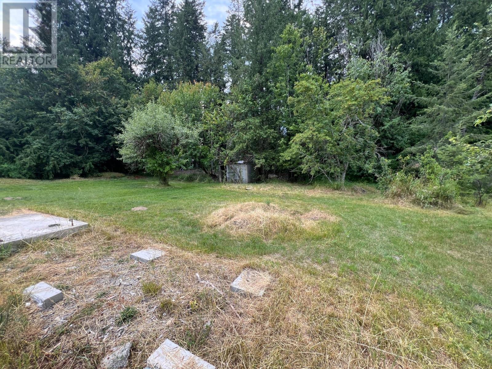 611 Slocan Street, Slocan, British Columbia  V0G 2C0 - Photo 4 - 10340071