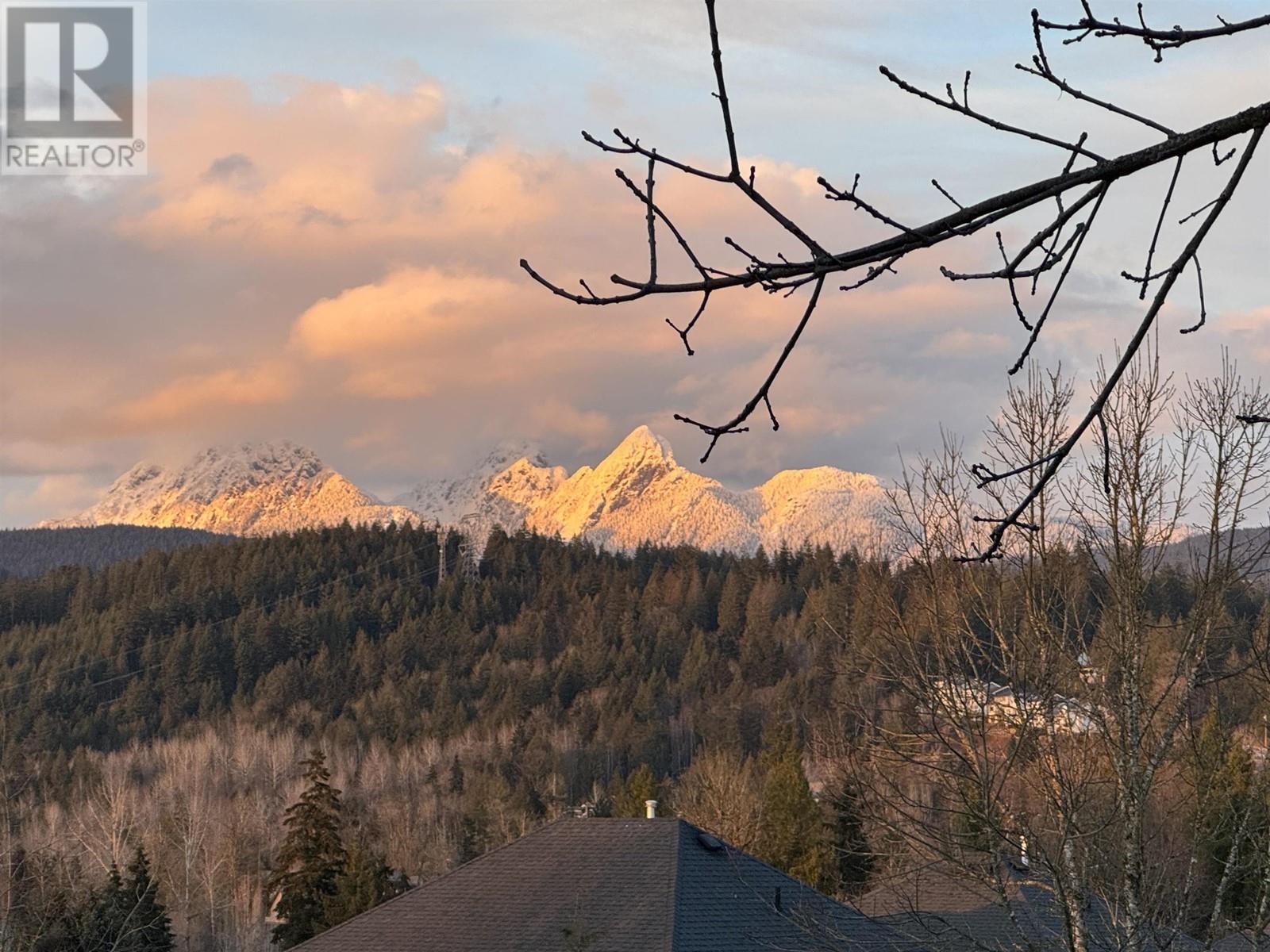 13631 228 Street, Maple Ridge, British Columbia  V4R 0B5 - Photo 38 - R2978925