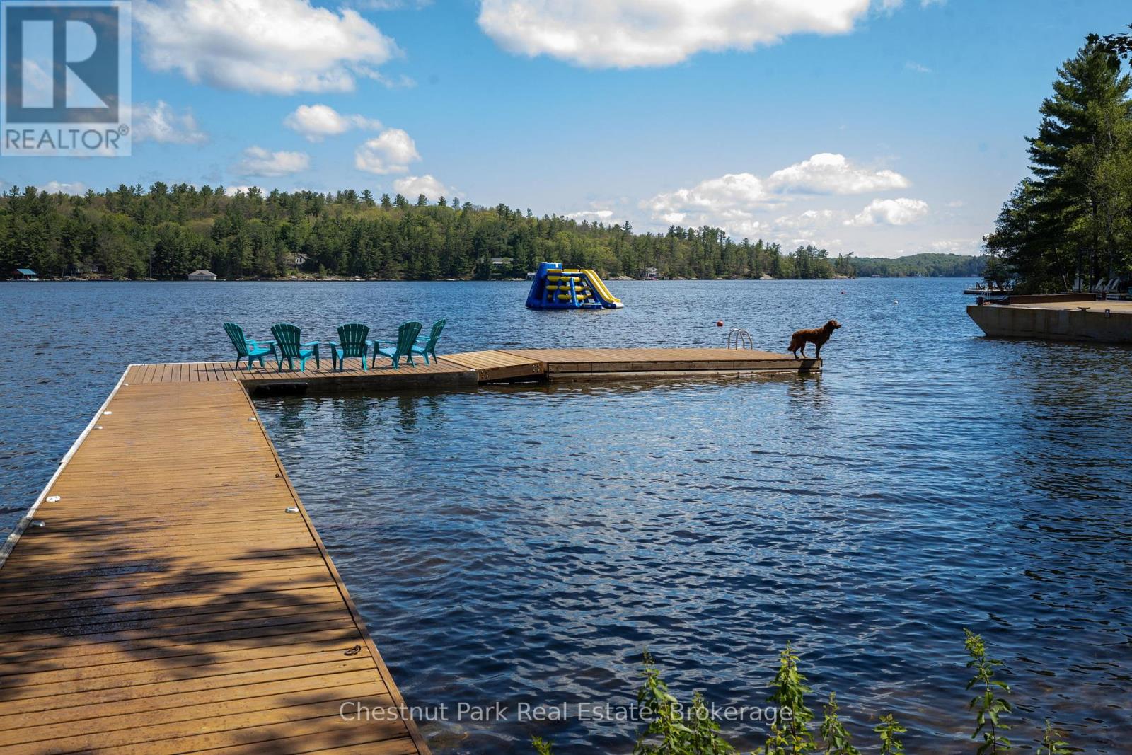 76 Birch Island, Bracebridge, Ontario  P1L 1W8 - Photo 31 - X12035457