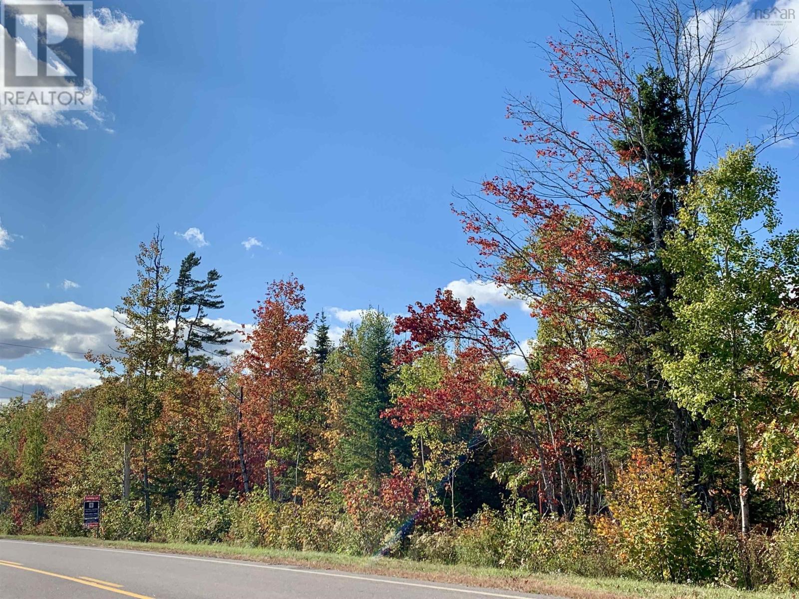 Vacant Lots Highway 321, Roslin, Nova Scotia  B0K 1K0 - Photo 11 - 202422306
