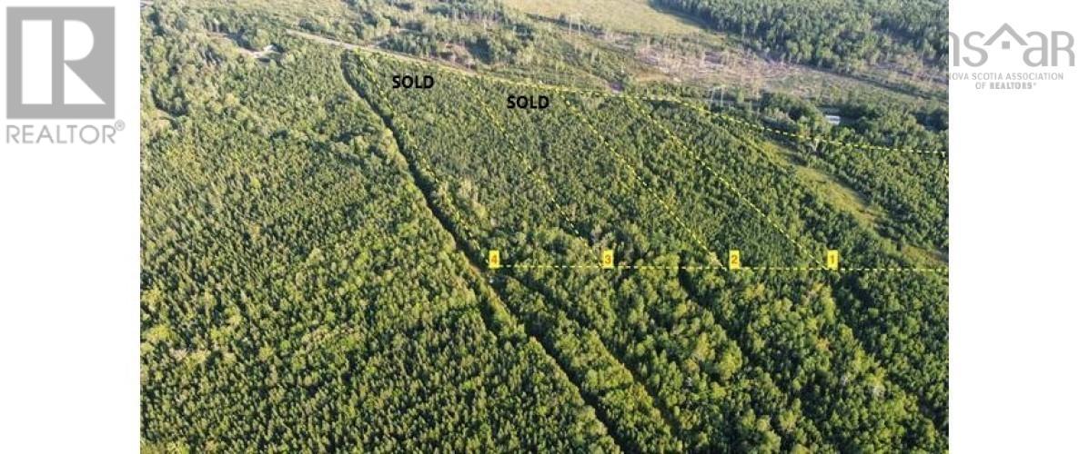 Vacant Lots Highway 321, Roslin, Nova Scotia  B0K 1K0 - Photo 6 - 202422306