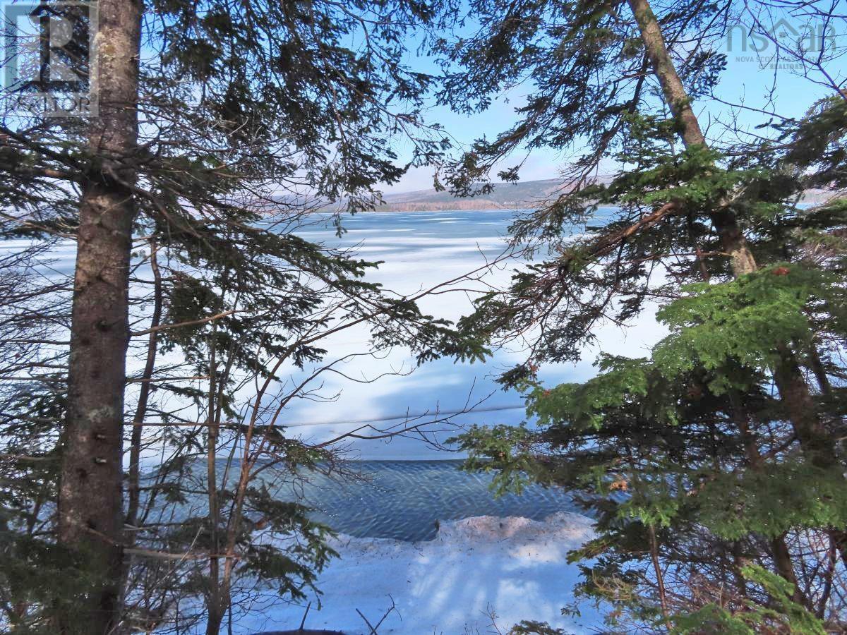 West Lake Ainslie (Mason Point) Road, West Lake Ainslie, Nova Scotia  B0E 3M0 - Photo 10 - 202505558