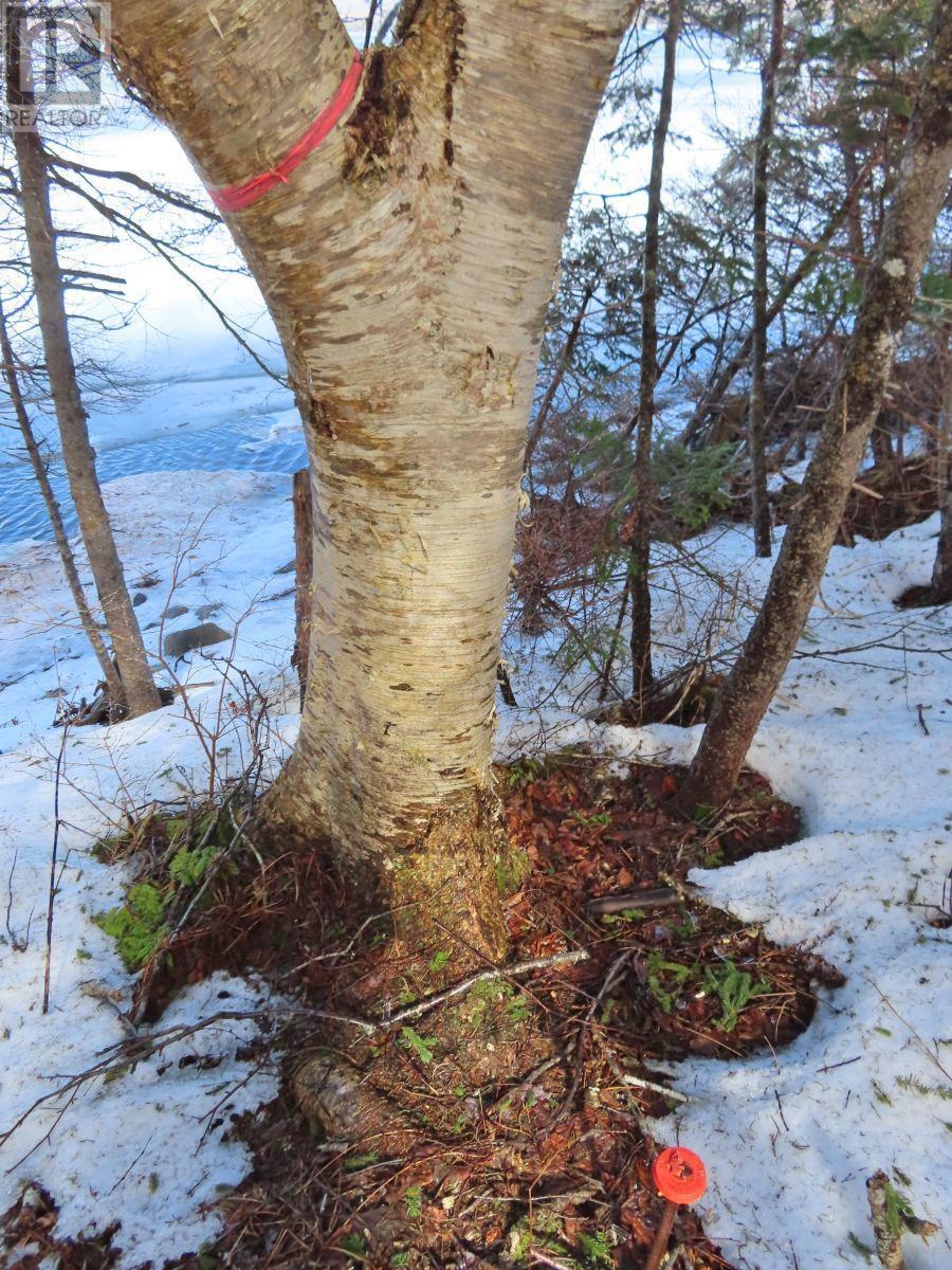 West Lake Ainslie (Mason Point) Road, West Lake Ainslie, Nova Scotia  B0E 3M0 - Photo 13 - 202505558