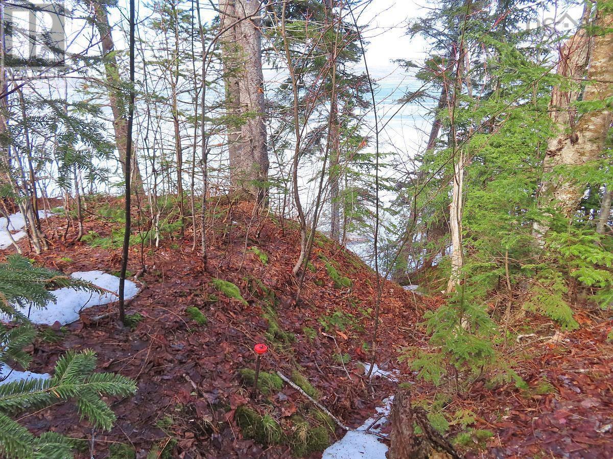 West Lake Ainslie (Mason Point) Road, West Lake Ainslie, Nova Scotia  B0E 3M0 - Photo 16 - 202505558