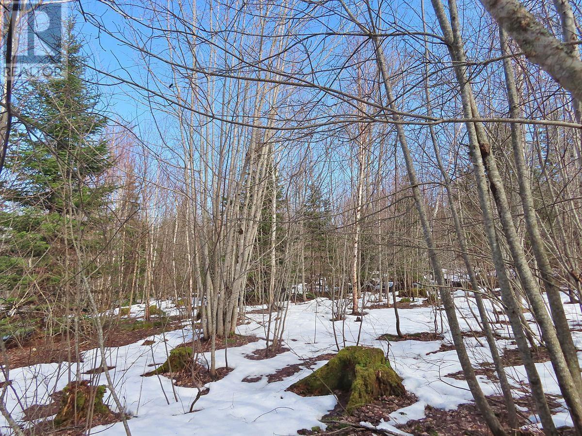 West Lake Ainslie (Mason Point) Road, West Lake Ainslie, Nova Scotia  B0E 3M0 - Photo 17 - 202505558