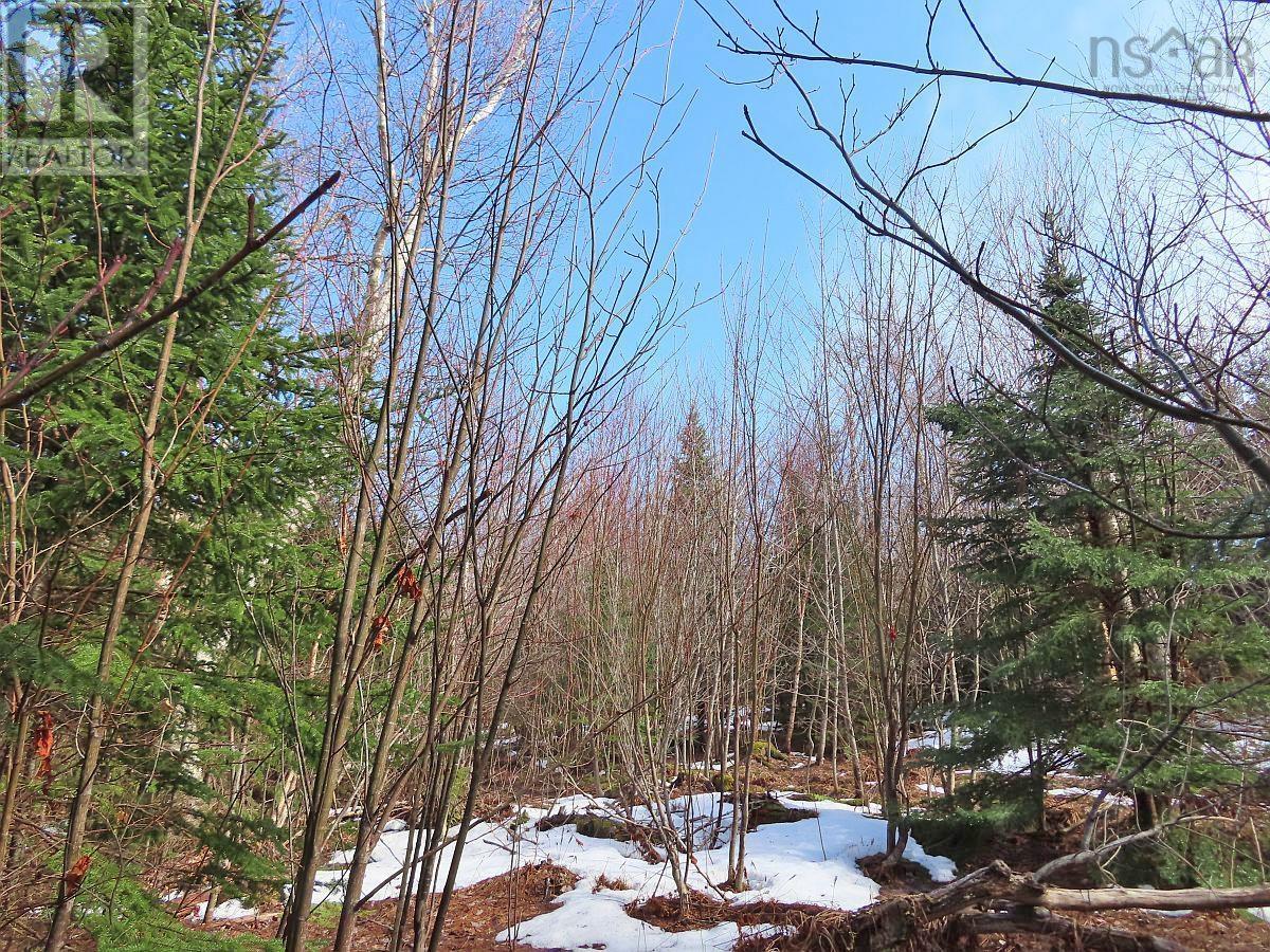 West Lake Ainslie (Mason Point) Road, West Lake Ainslie, Nova Scotia  B0E 3M0 - Photo 18 - 202505558