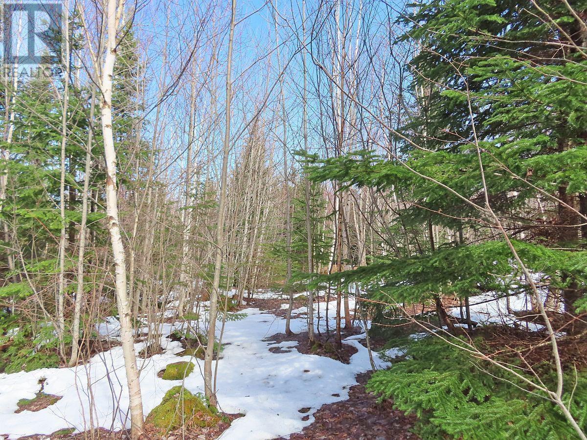 West Lake Ainslie (Mason Point) Road, West Lake Ainslie, Nova Scotia  B0E 3M0 - Photo 19 - 202505558