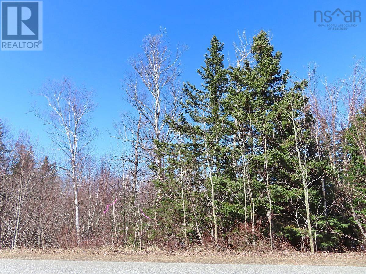 West Lake Ainslie (Mason Point) Road, West Lake Ainslie, Nova Scotia  B0E 3M0 - Photo 20 - 202505558