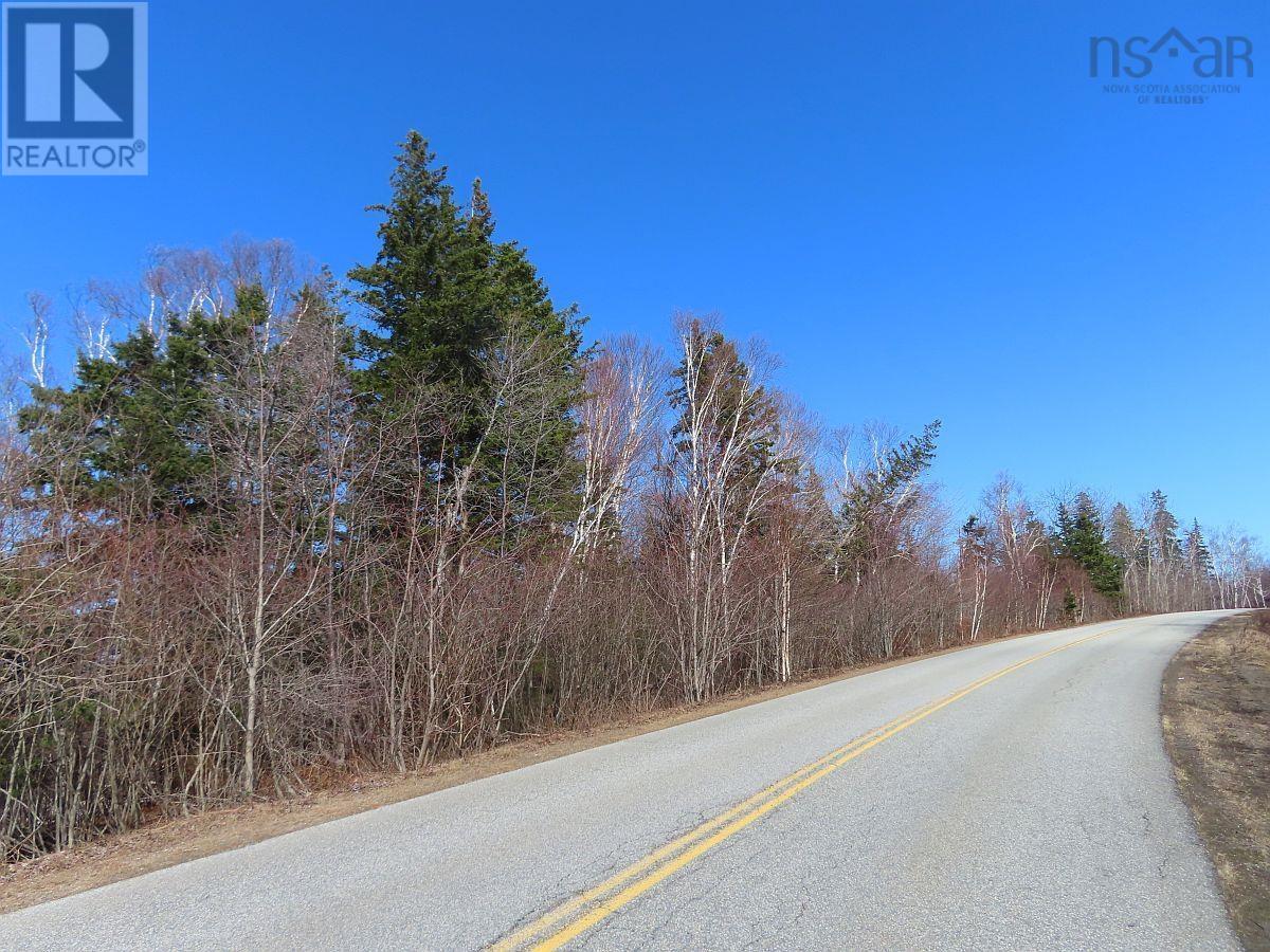 West Lake Ainslie (Mason Point) Road, West Lake Ainslie, Nova Scotia  B0E 3M0 - Photo 21 - 202505558
