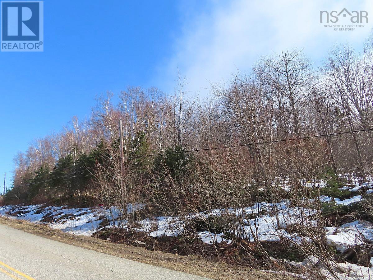 West Lake Ainslie (Mason Point) Road, West Lake Ainslie, Nova Scotia  B0E 3M0 - Photo 22 - 202505558