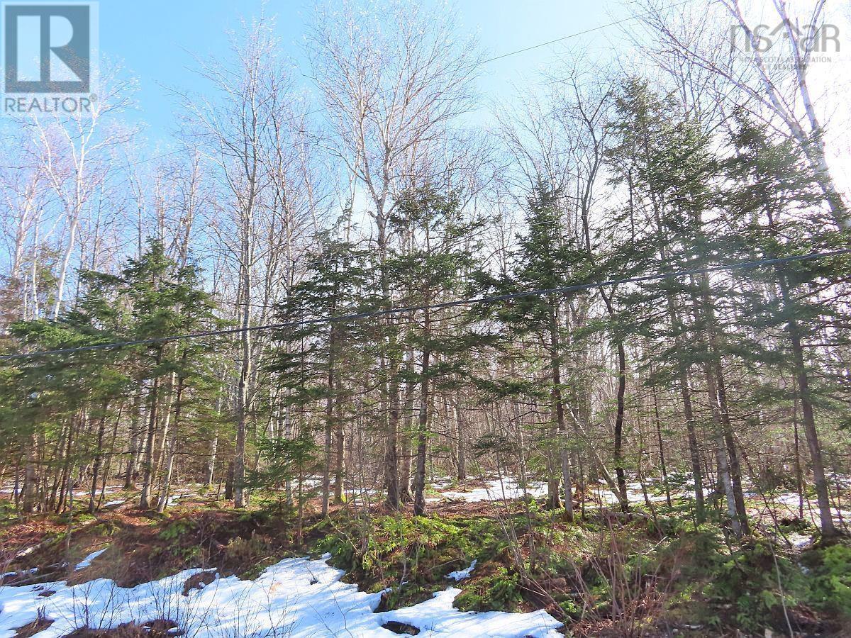 West Lake Ainslie (Mason Point) Road, West Lake Ainslie, Nova Scotia  B0E 3M0 - Photo 23 - 202505558