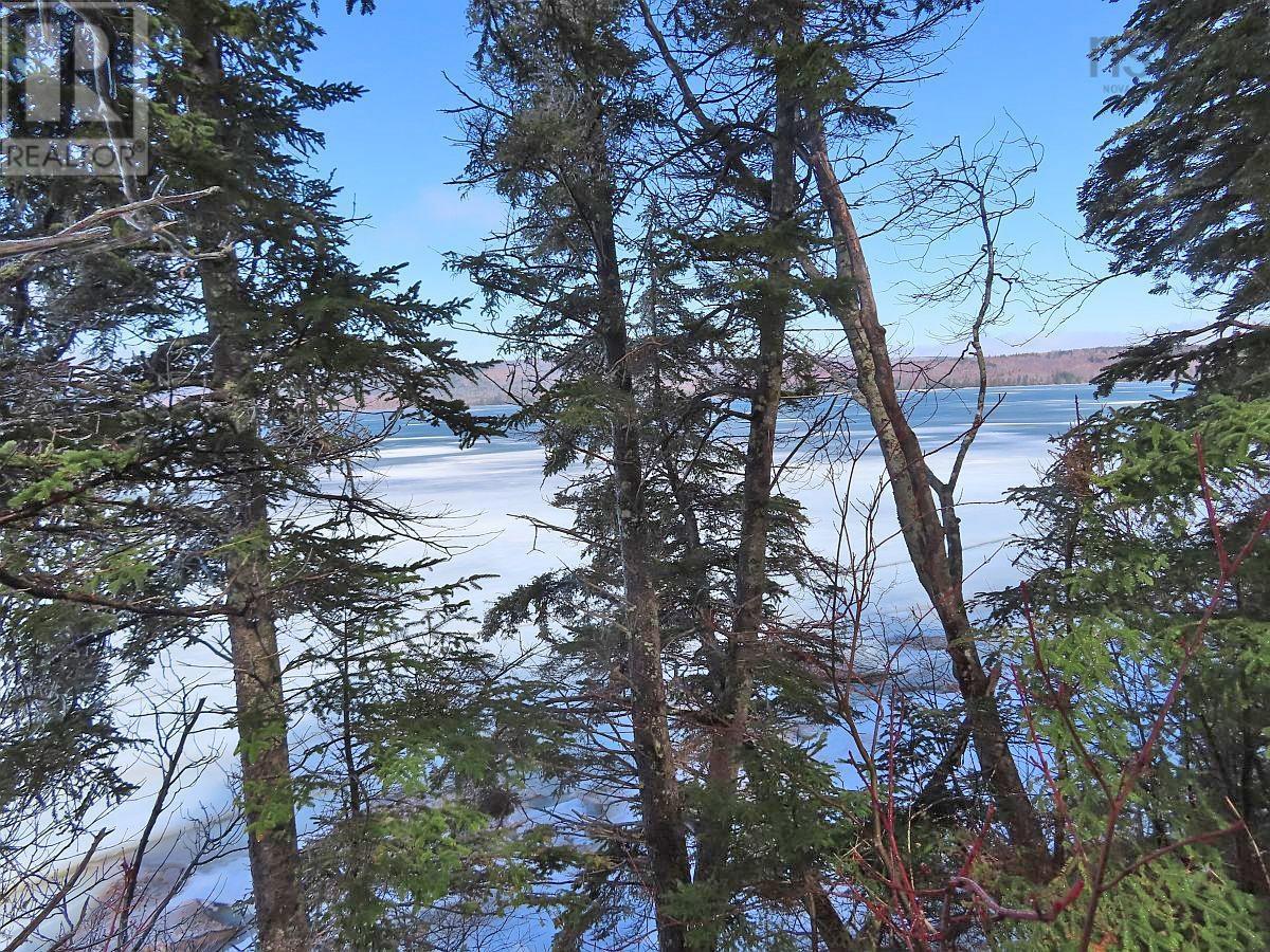 West Lake Ainslie (Mason Point) Road, West Lake Ainslie, Nova Scotia  B0E 3M0 - Photo 8 - 202505558