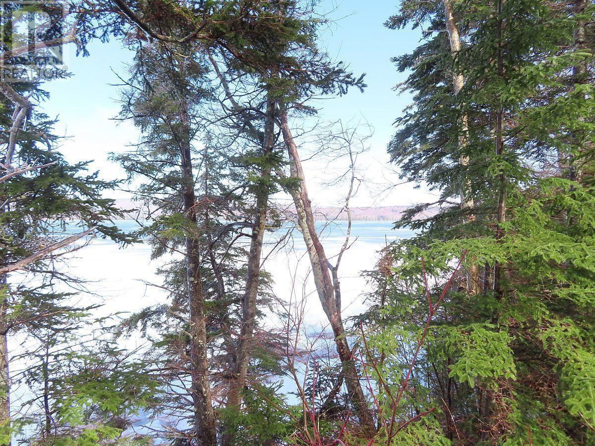 West Lake Ainslie (Mason Point) Road, West Lake Ainslie, Nova Scotia  B0E 3M0 - Photo 9 - 202505558