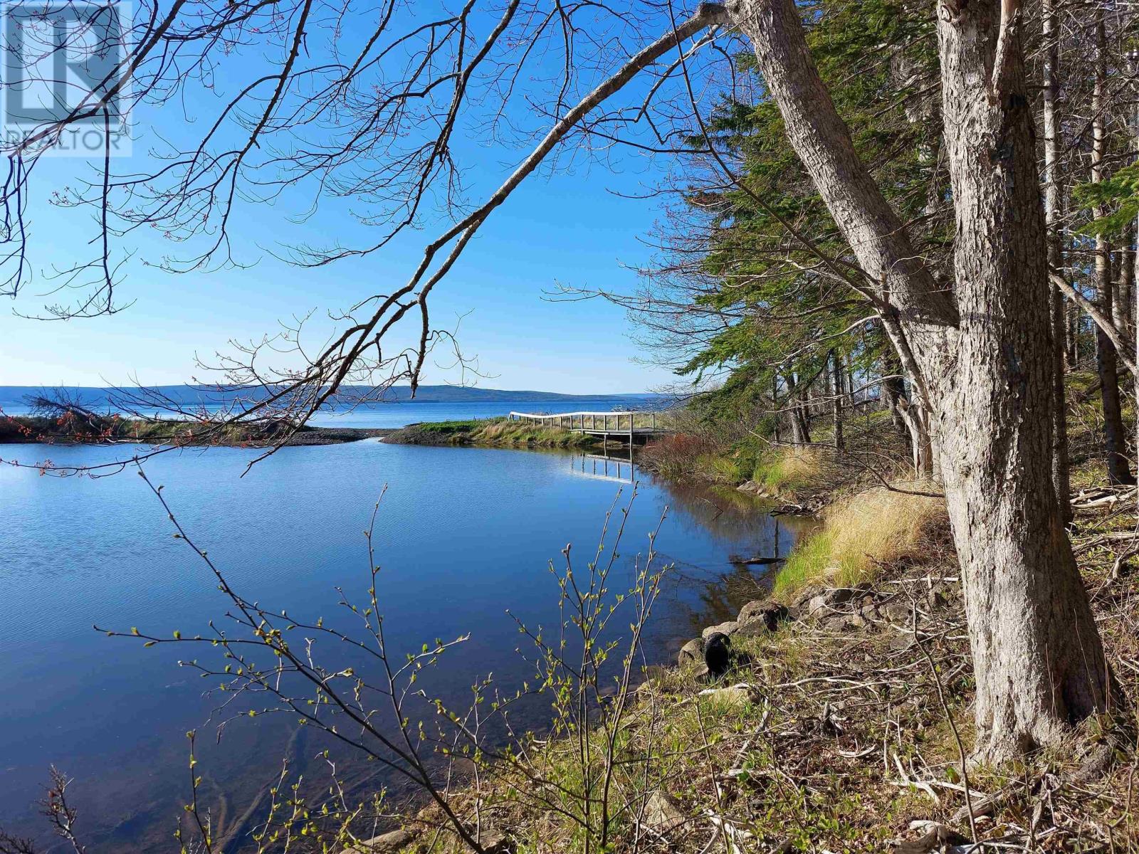 Lot 6 Macleods Pond Rd., Roberta, Nova Scotia  B0E 3K0 - Photo 12 - 202505559