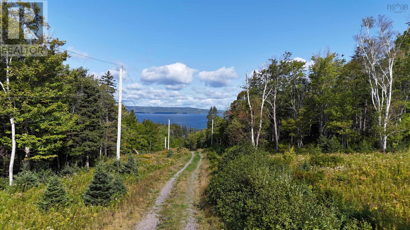 Lot 6 Macleods Pond Rd., Roberta, Nova Scotia  B0E 3K0 - Photo 4 - 202505559