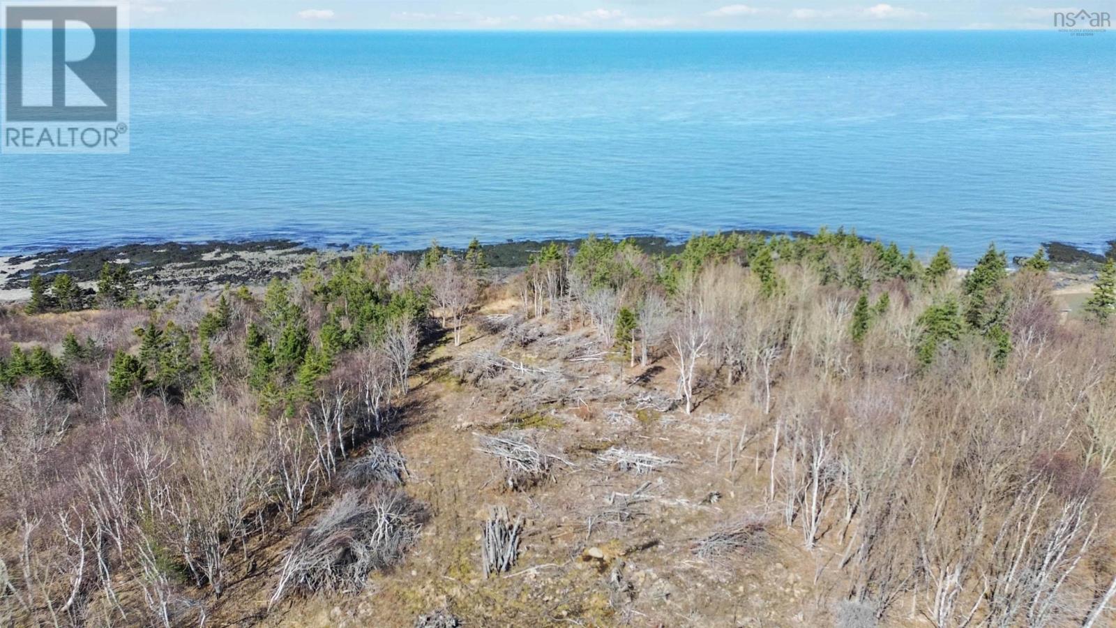 7115 Shore Road W, Phinneys Cove, Nova Scotia  B0S 1L0 - Photo 3 - 202505560