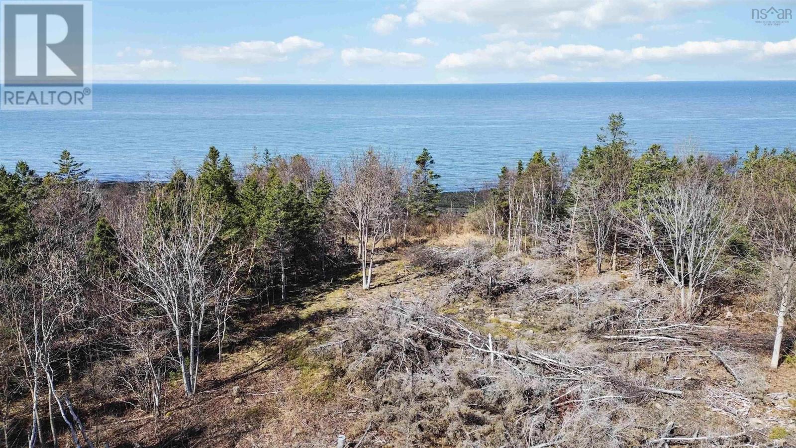 7115 Shore Road W, Phinneys Cove, Nova Scotia  B0S 1L0 - Photo 4 - 202505560