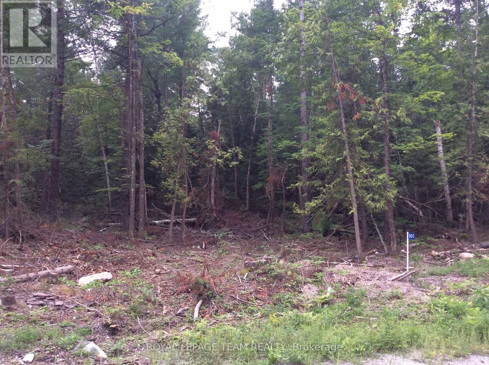 901 Darling Road, Lanark Highlands, Ontario  K0A 1P0 - Photo 3 - X12035812