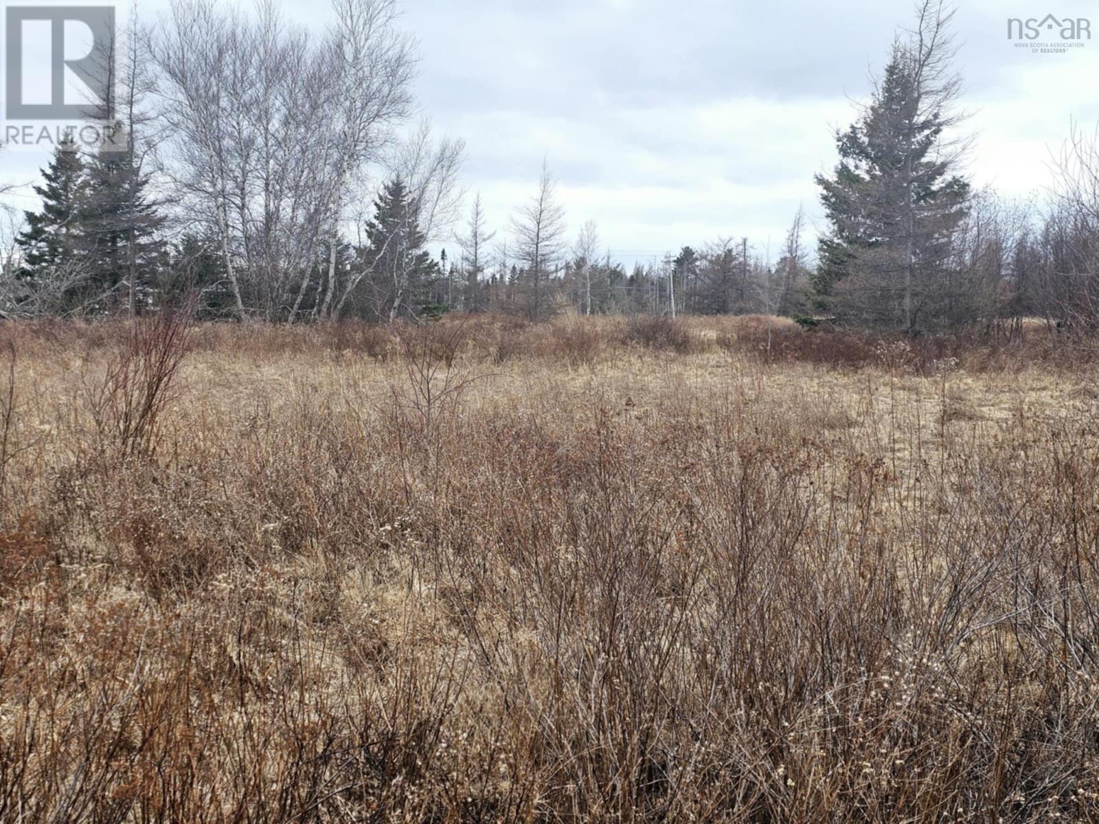 Lot 2012 Appalosa Trail, Bayhead, Nova Scotia  B0K 1V0 - Photo 7 - 202505057