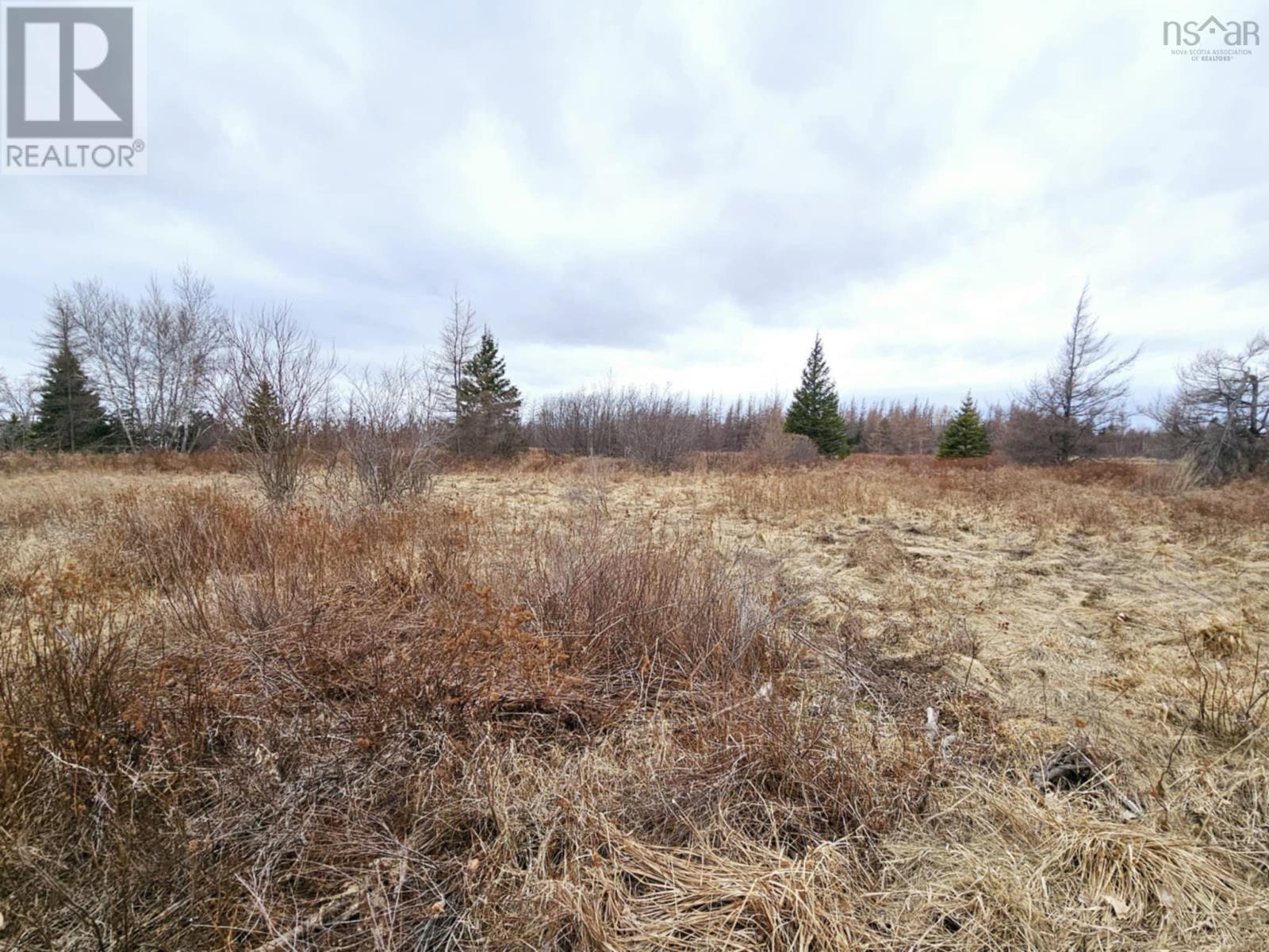 Lot 2012 Appalosa Trail, Bayhead, Nova Scotia  B0K 1V0 - Photo 8 - 202505057