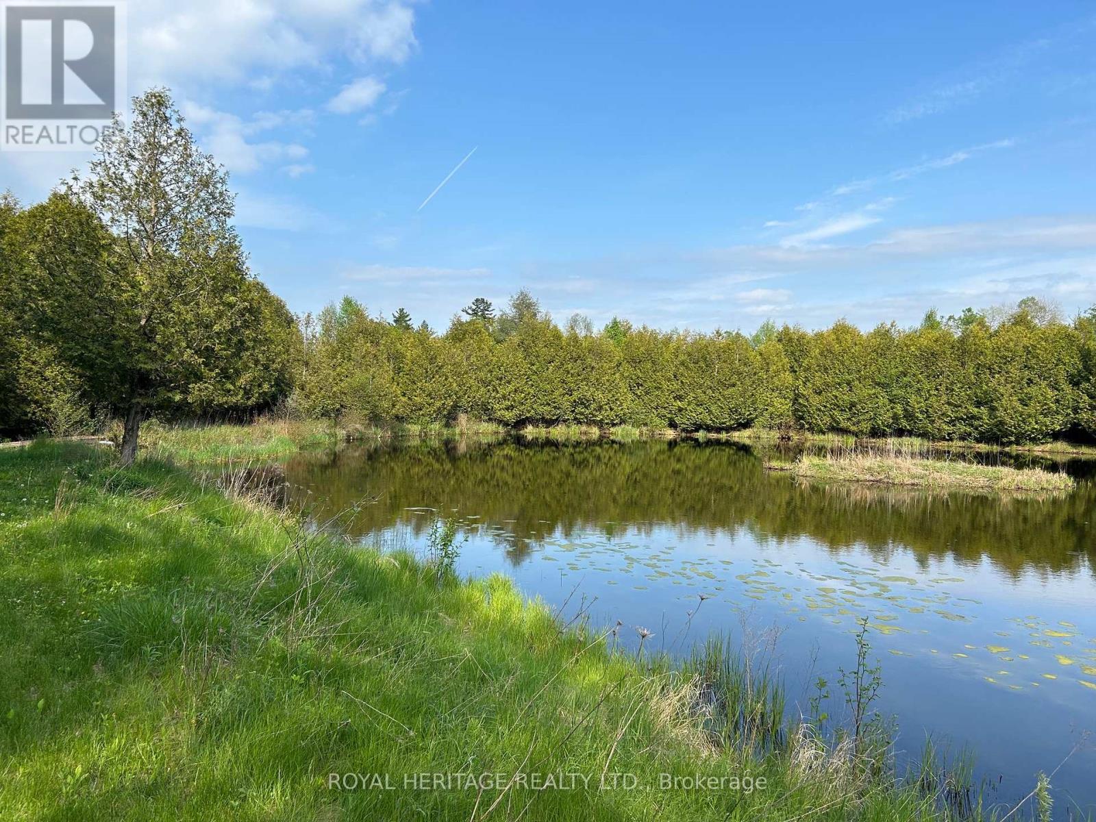 810 4th Line, Douro-Dummer, Ontario  K0L 3E0 - Photo 12 - X9341511