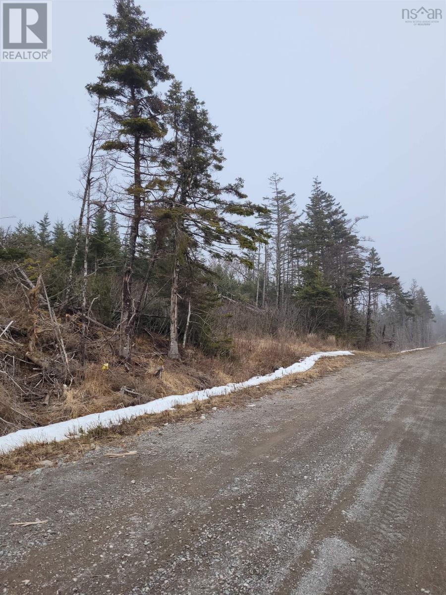 . Louisbourg Bypass Road, Louisbourg, Nova Scotia  B1C 1R8 - Photo 10 - 202505574