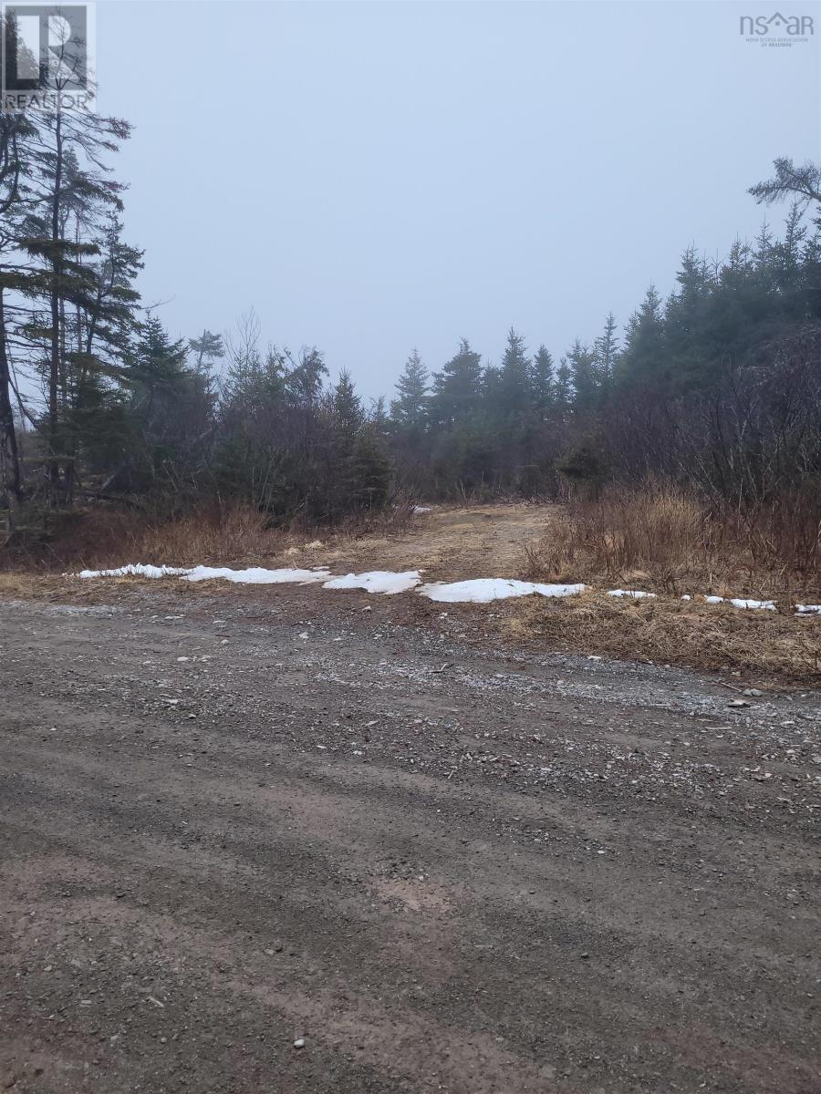 . Louisbourg Bypass Road, Louisbourg, Nova Scotia  B1C 1R8 - Photo 11 - 202505574