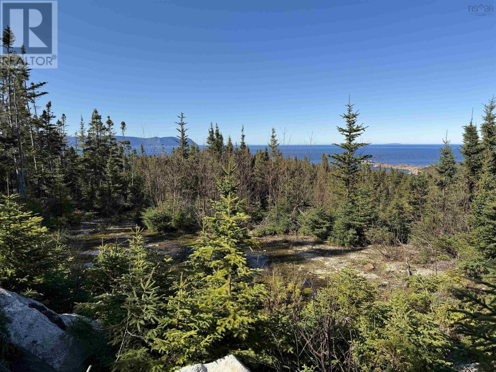 10-1 White Point Road, Smelt Brook, Nova Scotia  B0C 1N0 - Photo 3 - 202505583