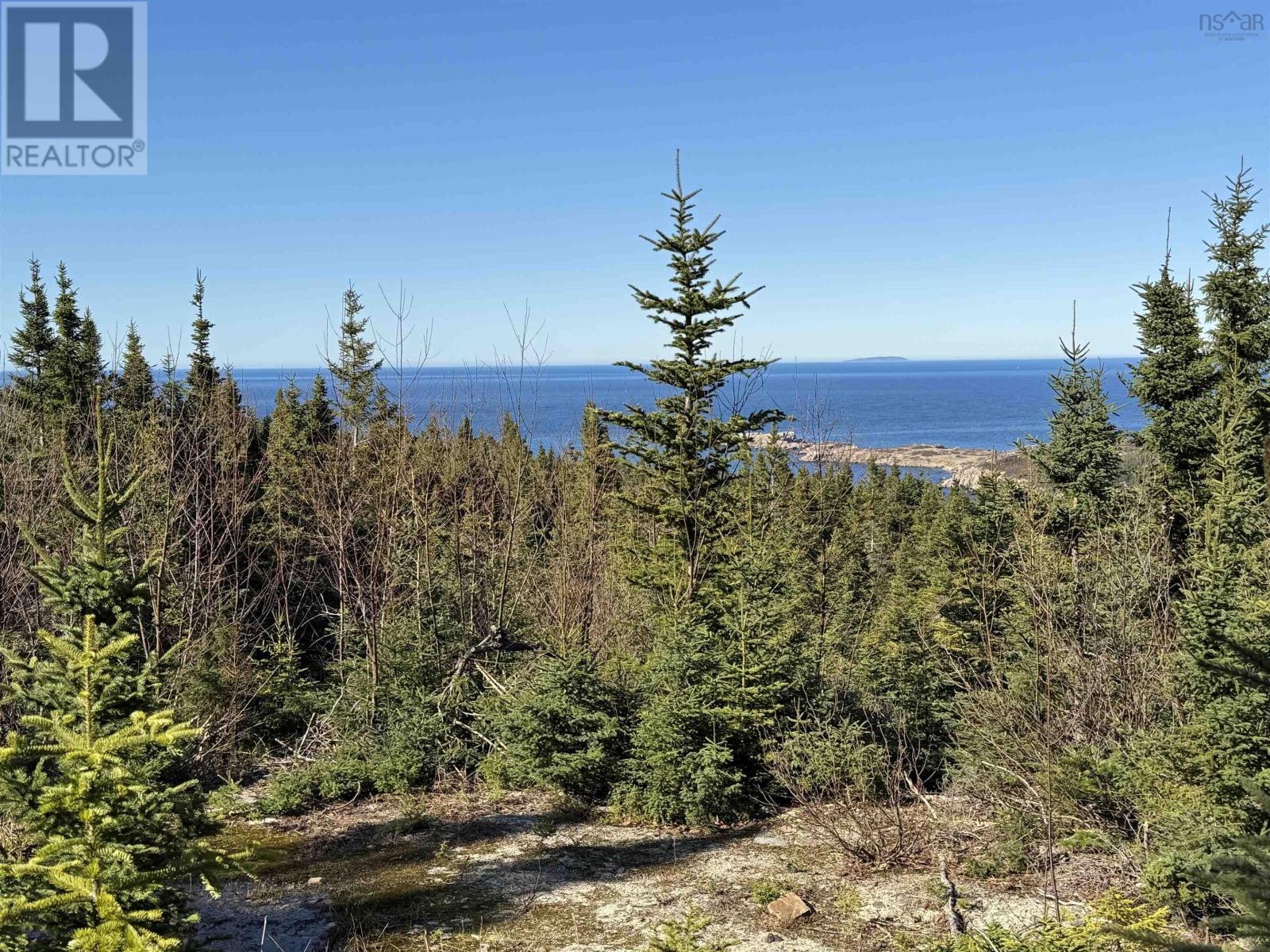 10-1 White Point Road, Smelt Brook, Nova Scotia  B0C 1N0 - Photo 7 - 202505583