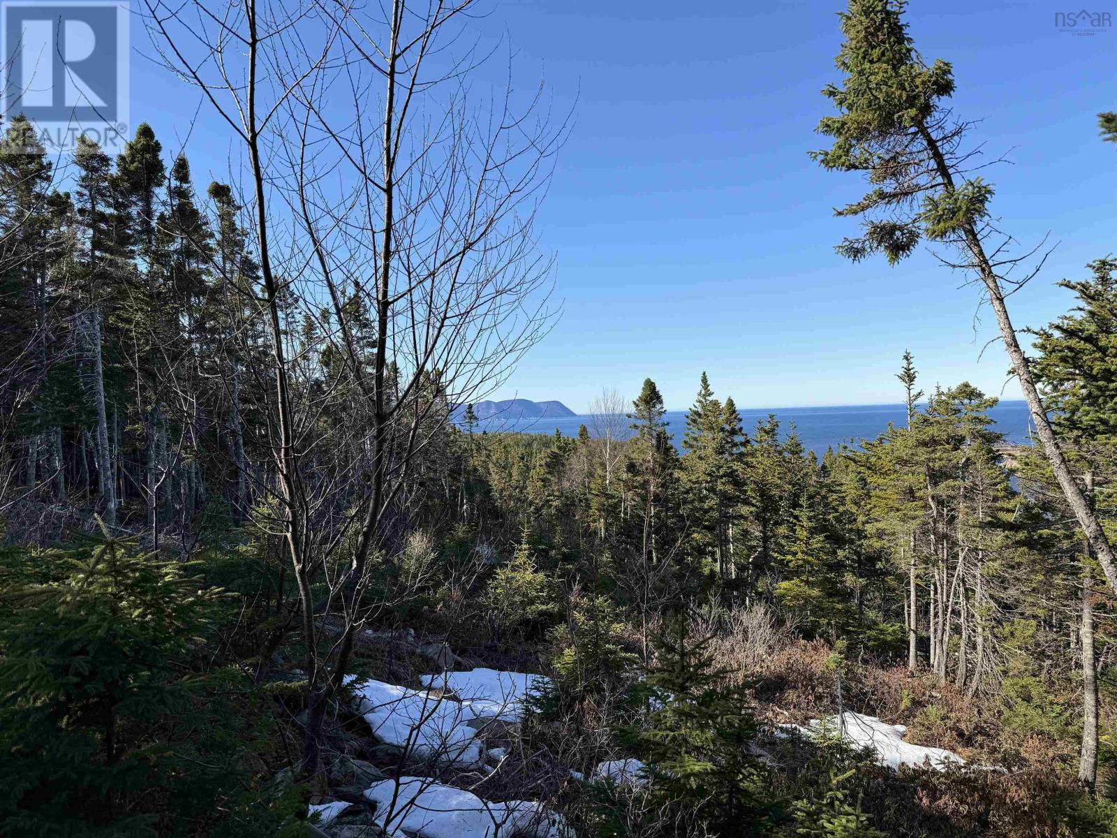 White Point Road, Smelt Brook, Nova Scotia  B0C 1N0 - Photo 7 - 202505584
