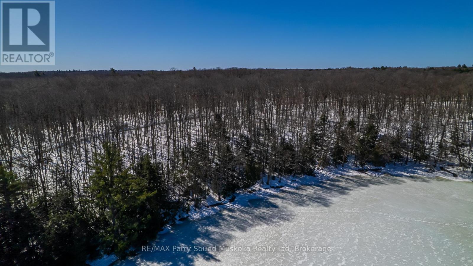 20 Zhaawashkwaa Miika Road, Seguin, Ontario  P2A 0B2 - Photo 11 - X12036598
