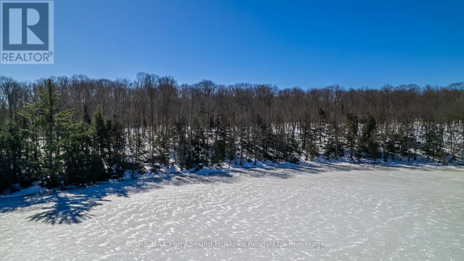 20 Zhaawashkwaa Miika Road, Seguin, Ontario  P2A 0B2 - Photo 19 - X12036598