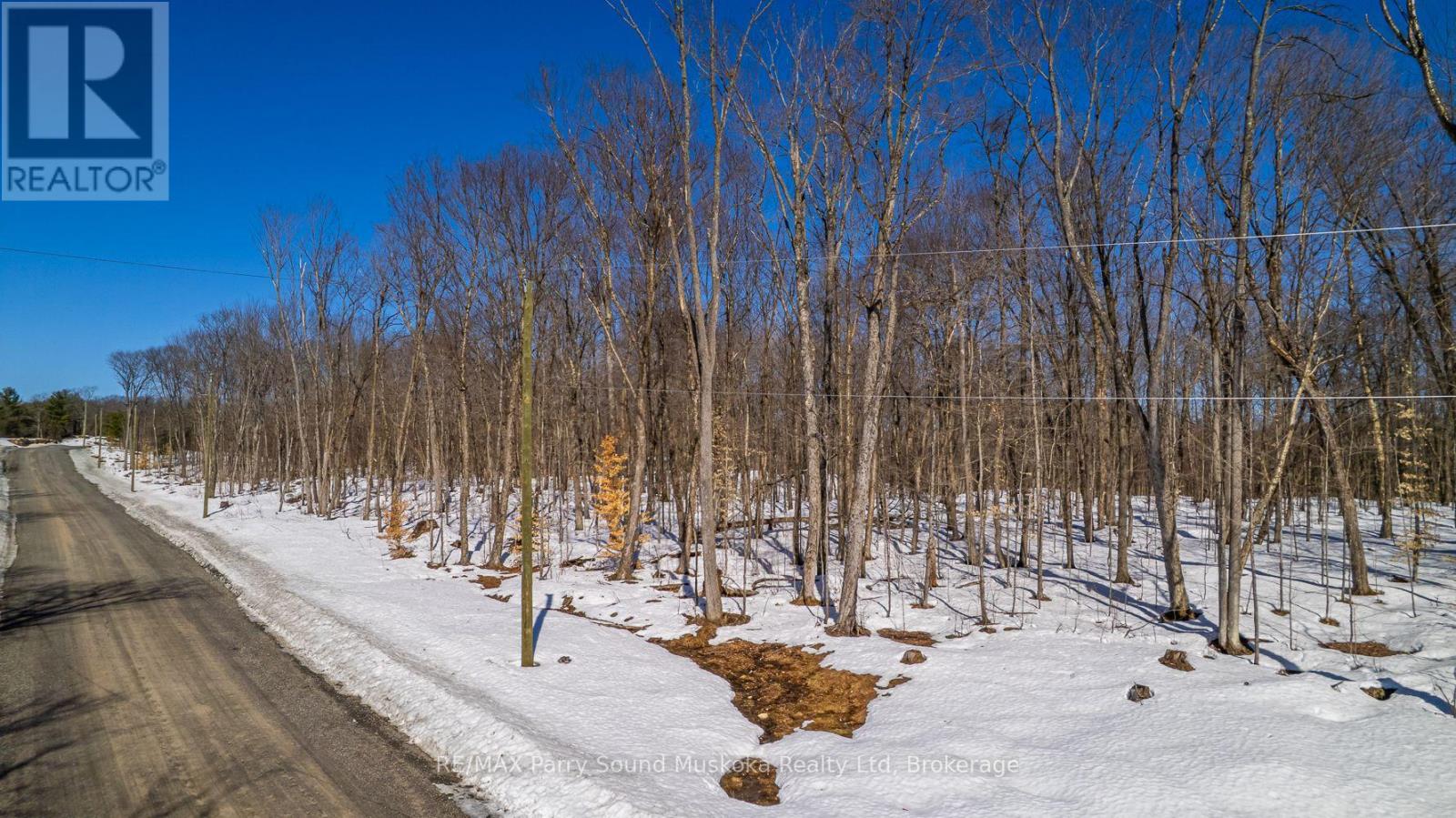 20 Zhaawashkwaa Miika Road, Seguin, Ontario  P2A 0B2 - Photo 20 - X12036598
