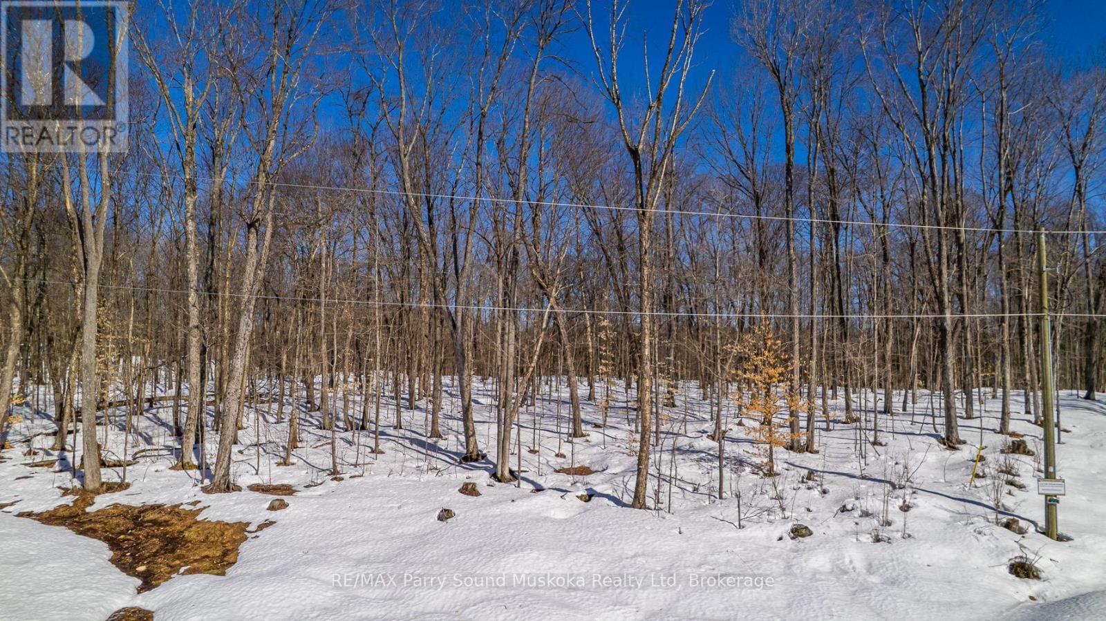 20 Zhaawashkwaa Miika Road, Seguin, Ontario  P2A 0B2 - Photo 21 - X12036598