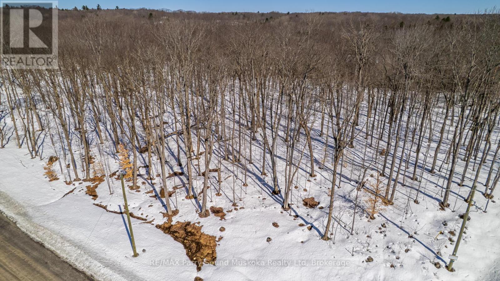 20 Zhaawashkwaa Miika Road, Seguin, Ontario  P2A 0B2 - Photo 22 - X12036598