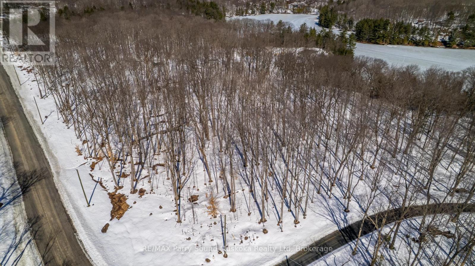 20 Zhaawashkwaa Miika Road, Seguin, Ontario  P2A 0B2 - Photo 25 - X12036598
