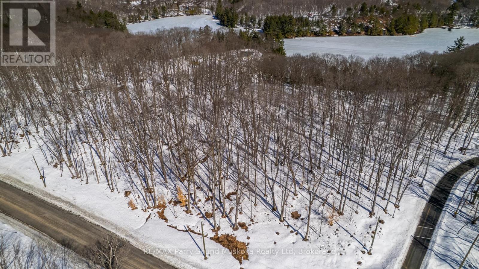 20 Zhaawashkwaa Miika Road, Seguin, Ontario  P2A 0B2 - Photo 26 - X12036598
