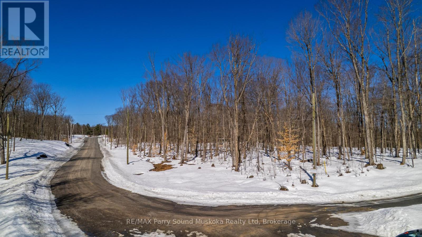 20 Zhaawashkwaa Miika Road, Seguin, Ontario  P2A 0B2 - Photo 28 - X12036598