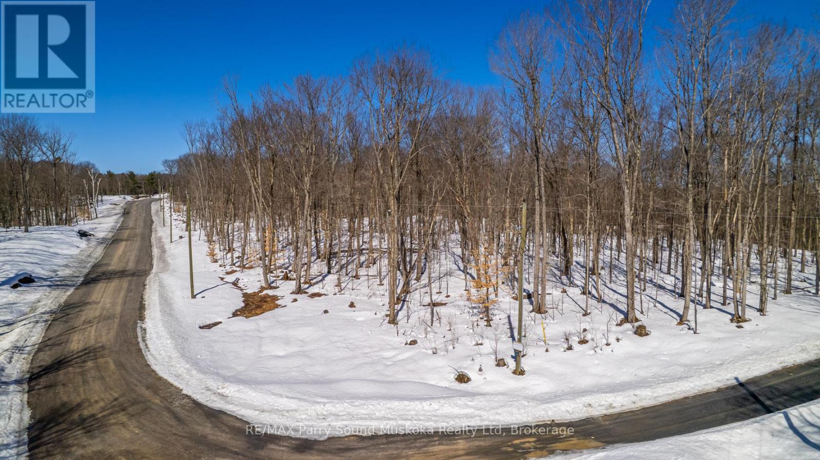 20 Zhaawashkwaa Miika Road, Seguin, Ontario  P2A 0B2 - Photo 29 - X12036598