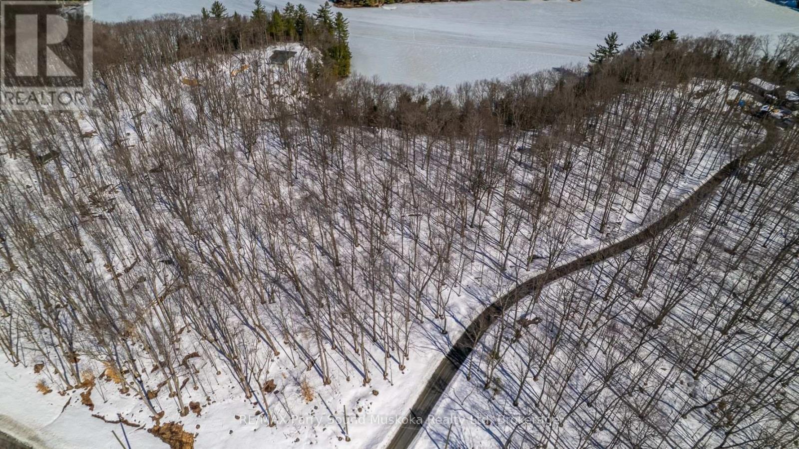 20 Zhaawashkwaa Miika Road, Seguin, Ontario  P2A 0B2 - Photo 30 - X12036598